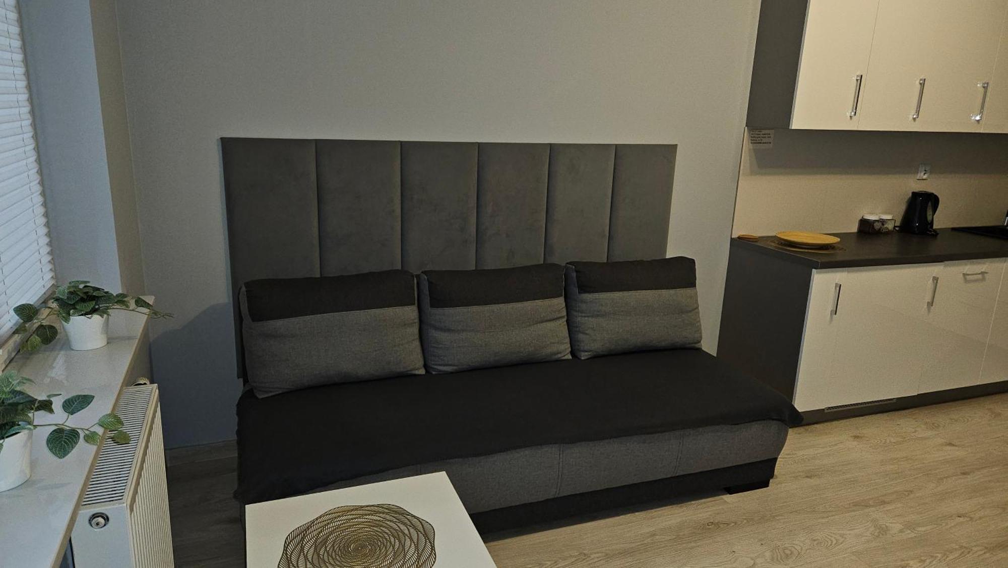 Appartement Jedenastka à Płock Extérieur photo